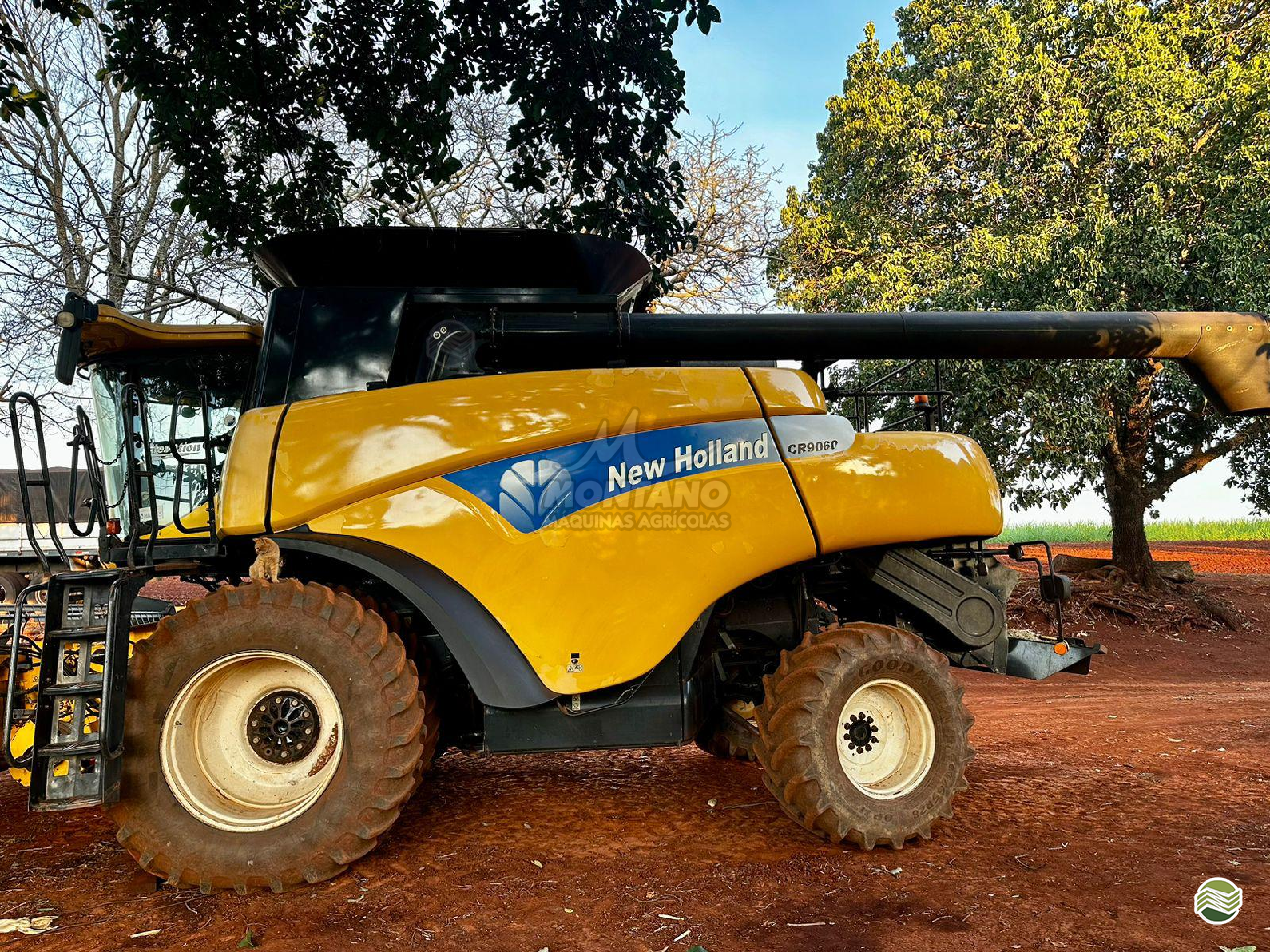 COLHEITADEIRA NEW HOLLAND CR 9060 Montano Máquinas Agrícolas LAGOA VERMELHA RIO GRANDE DO SUL RS